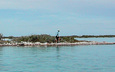 0801430_2011_island_experiment_pioviascott