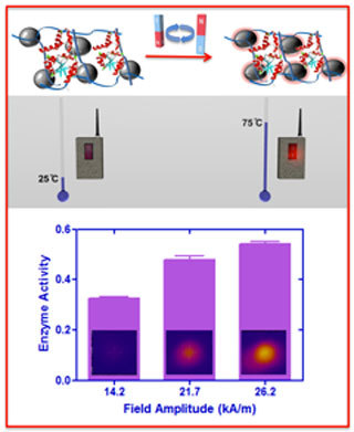 Demonstration of enhanced activity of thermphilic enzymes using iron oxide nanoparticles